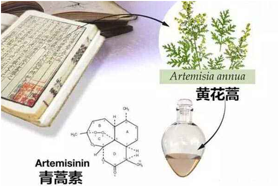 九游官网,九游（中国）：向中医药看齐，与世界共享中医药文化(图1)